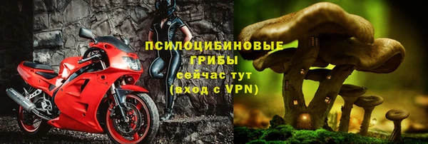 твердый Верхний Тагил