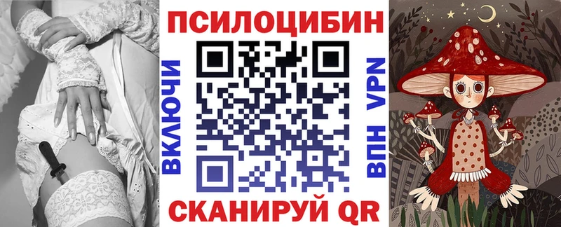 Псилоцибиновые грибы Psilocybe Верхоянск